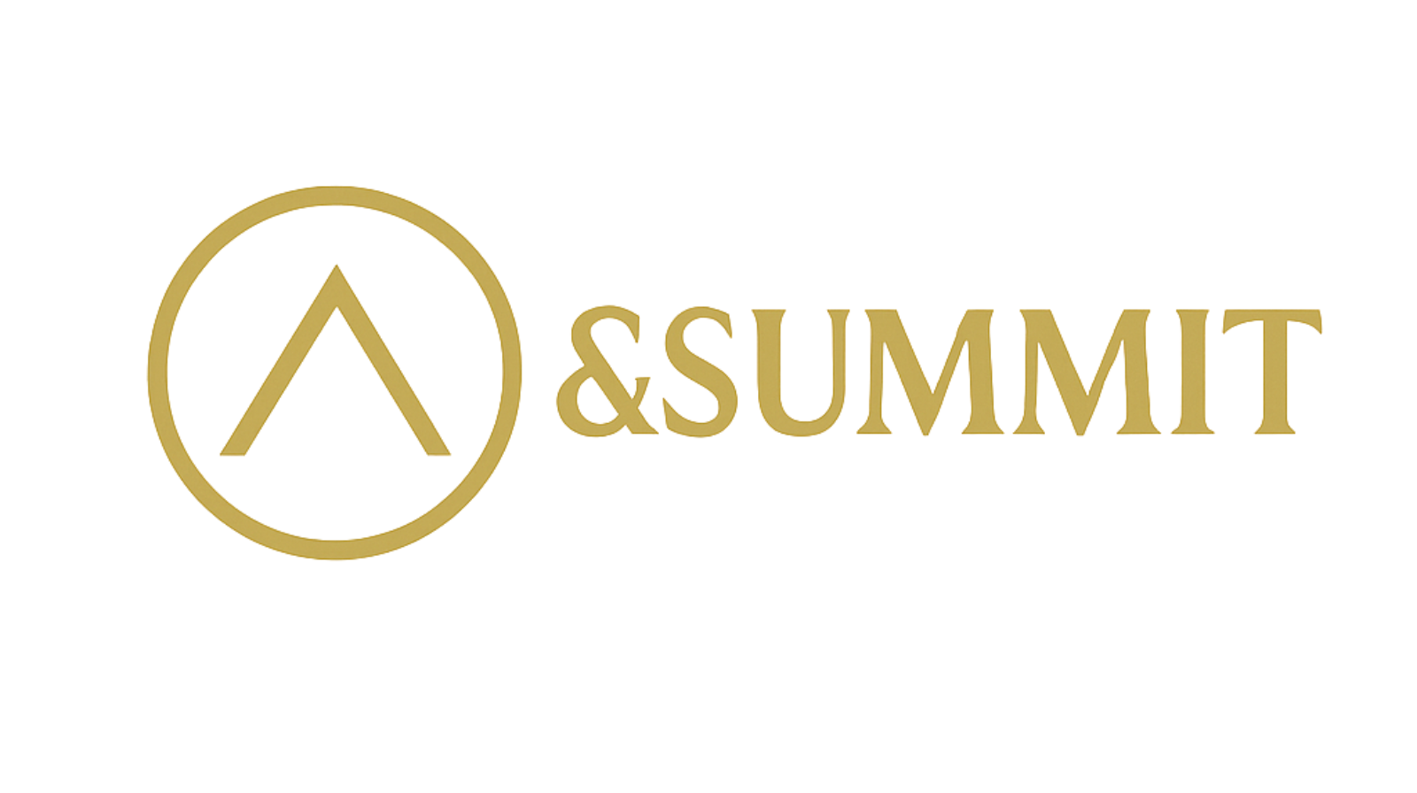 new alternate summit logo - upward arrow